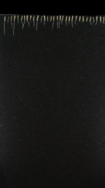 Çimenlerin filizlenmesi ve gelişmesi zaman alır.