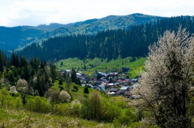 Voronet köyü, tepeden manzara, Suceava ilçesi, Romanya