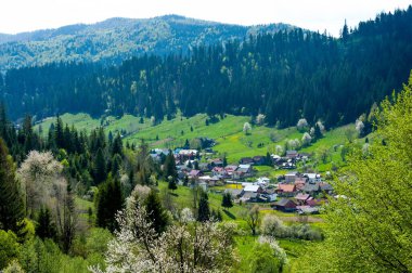Voronet köyü, tepeden manzara, Suceava ilçesi, Romanya
