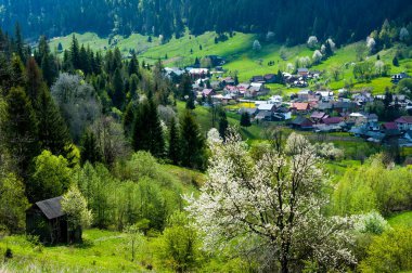 Voronet köyü, tepeden manzara, Suceava ilçesi, Romanya