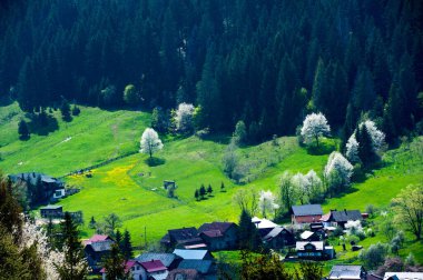Voronet köyü, tepeden manzara, Suceava ilçesi, Romanya