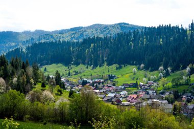 Voronet köyü, tepeden manzara, Suceava ilçesi, Romanya