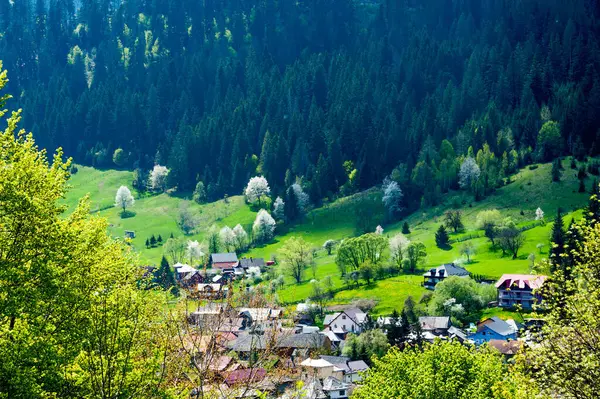 Voronet köyü, tepeden manzara, Suceava ilçesi, Romanya