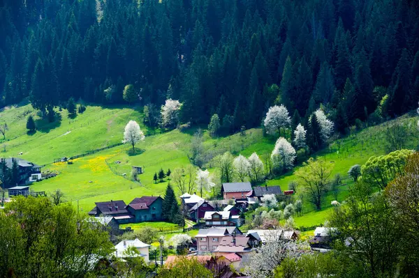 stock image Voronet village, view from the hill, Suceava county, Romania