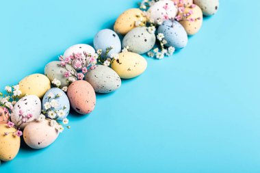 Easter composition with spring flowers and colorful quail eggs over blue background. Springtime and Easter holiday concept with copy space.