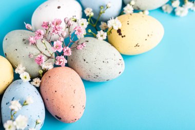 Easter composition with spring flowers and colorful quail eggs over blue background. Springtime and Easter holiday concept with copy space.