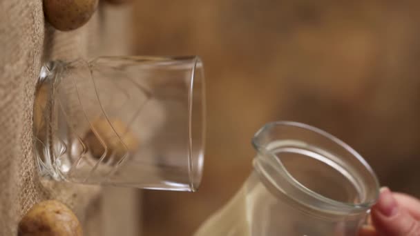 Kvinnan Häller Potatismjölk Alternativ Icke Mejeri Dryck Glas Från Karaff — Stockvideo