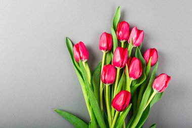 Paskalya 'da pembe laleli, gri bir arka plan. Doğum günü, anneler günü tebrik kartı konsepti..