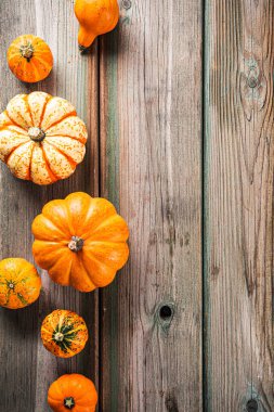 Yeşil ahşap bir masada çeşitli balkabaklarının olduğu sonbahar balkabağı Şükran Günü arka planının en üst görüntüsü. Boşluğu kopyala