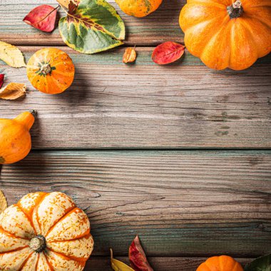 Sonbahar balkabağı Şükran Günü arkaplanı, eski ahşap masada çeşitli balkabakları. Kopyalama alanı olan düz