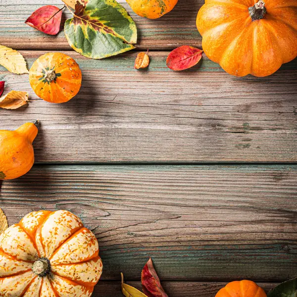 Sonbahar balkabağı Şükran Günü arkaplanı, eski ahşap masada çeşitli balkabakları. Kopyalama alanı olan düz