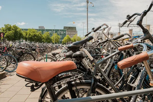 Eindhoven, Hollanda - 24 Haziran 2022: Bisikletler, yeşillik arasındaki çeşitli tasarımları ve canlı renkleri vurgulayarak hareketli bir şehir alanına park edilmiştir