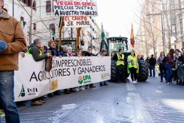 Granada, Endülüs, İspanya. 20 Şubat 2024: Granada sokaklarında tarım ürünleri krizinin adil olmayan fiyatlarına karşı pankartlar ve traktörlerle protesto gösterisi