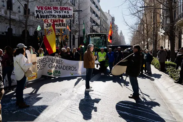 Granada, Endülüs, İspanya. 20 Şubat 2024: Granada sokaklarında tarım ürünleri krizinin adil olmayan fiyatlarına karşı pankartlar ve traktörlerle protesto gösterisi