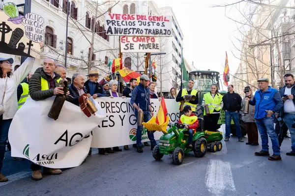 Granada, Endülüs, İspanya. 20 Şubat 2024: Granada sokaklarında tarım ürünleri krizinin adil olmayan fiyatlarına karşı pankartlar ve traktörlerle protesto gösterisi