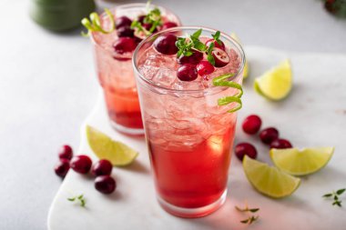 Kızılcık ve limon kokteyli ya da moktail, bayram yemeği için canlandırıcı içecek fikri.