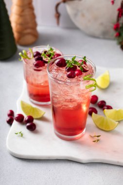 Kızılcık ve limon kokteyli ya da moktail, bayram yemeği için canlandırıcı içecek fikri.