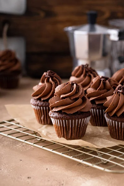Dark chocolate mini cupcakes with chocolate ganache frosting and sprinkles