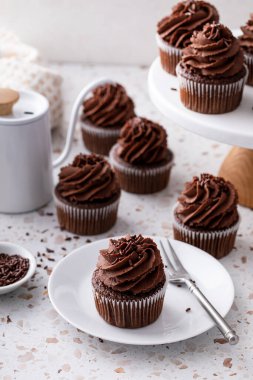 Kakaolu çikolatalı kekler çırpılmış ganache kreması ve çikolata parçacıkları.