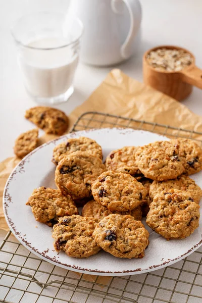 Healthy Breakfast Cookies Oatmeal Pecans Dried Cranberry — Stock Photo, Image