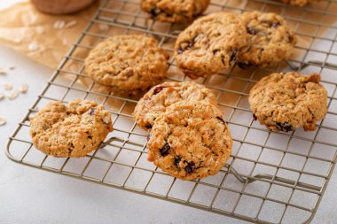 Yulaf ezmeli, cevizli ve kuru yaban mersinli sağlıklı kahvaltı kurabiyeleri.