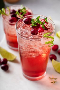 Kızılcık kokteyli ya da limonlu moktail, şenlikli kış içeceği fikri.