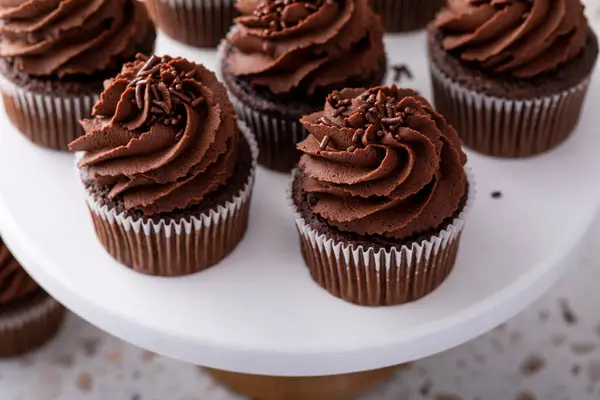 Choklad Muffins Toppad Med Vispad Choklad Ganache Och Choklad Strössel Stockbild