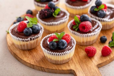 Mini vanilyalı New York peynirli kekleri kek tepsisinde pişirildi. Üstünde çikolata ganache ve taze böğürtlen var.