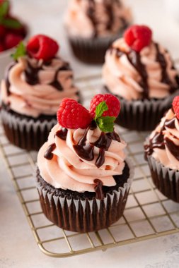 Ahududulu çikolatalı kek ve ahududu kreması. Çikolata jöleli.