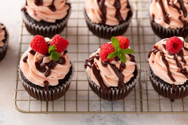 Ahududulu çikolatalı kek ve ahududu kreması. Çikolata jöleli.