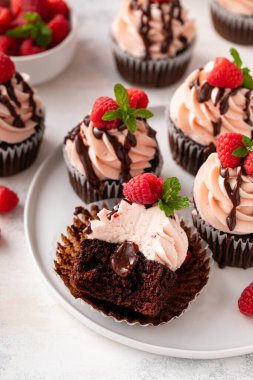 Ahududulu çikolatalı kek, ahududu kremalı ve çikolatalı.