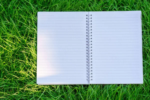 Open notebook paper page with line on green grass with simulate sunlight background