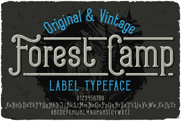 Vintage Címke Betűtípus Nevű Forest Camp Eredeti Betűtípus Bármilyen Tervhez — Stock Vector