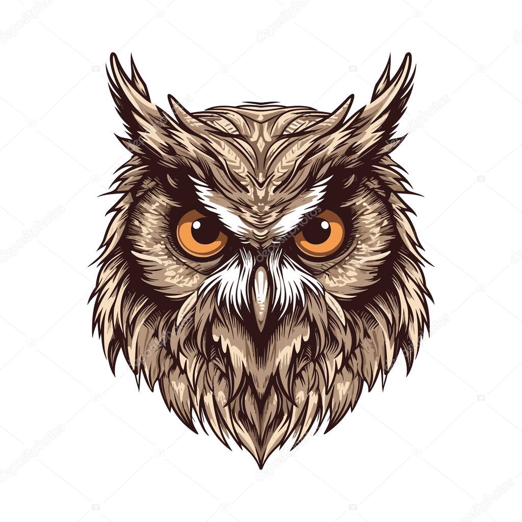 Owl head mascot. Logo design. Illustration for printing on t-shirts.