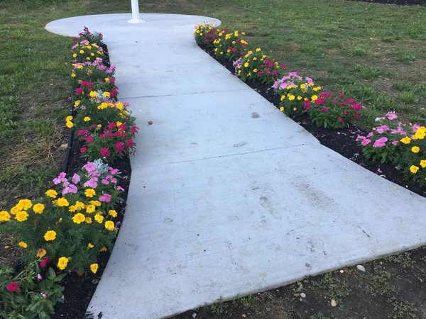 Tranquil Garden Path with Enchanting Side Flowers. The serenity of a garden walkway, adorned with a vibrant border of side flowers nestled in mulch. The charming combination of the well-tended walkway and the colorful, side flowers landscape design.