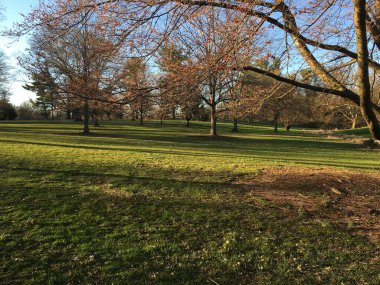 New Jersey 'de uzun ağaçlar ve göllerle çevrili yürüyüş yapan çocuklar için bahçe parkı. Doğayı daha güzel ve rahatlatıcı yapıyor. Hafta sonunu ailenle piknik ve eğlence için geçirmek. 