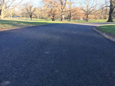 Yeşil çimenler ve büyük ağaçlarla çevrili parkta koşmak ve yürümek için asfalt yürüyüş yolu