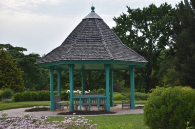 Yazın güzel bir park.