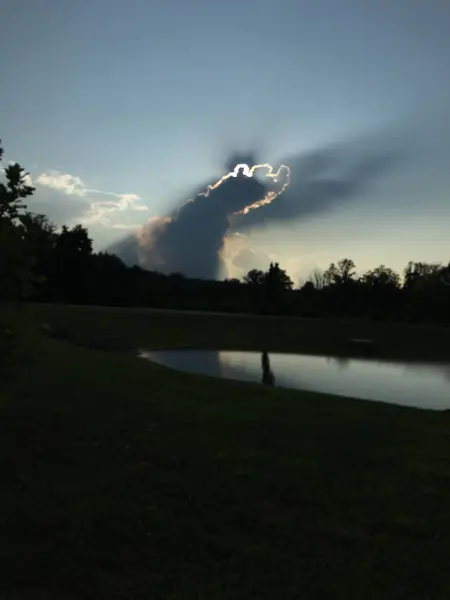 Güzel bir manzara Ağacı ve mavi gökyüzü