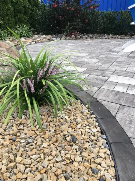 Bahçesinde büyük bir taş ve küçük bir bitki olan güzel bir park manzarası.