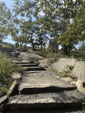 Parkın güzel manzarası