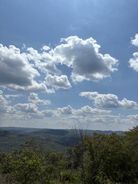 Ağaçlar ve bulutlarla dolu güzel bir manzara.