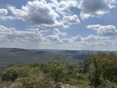 Ağacı olan güzel bir manzara
