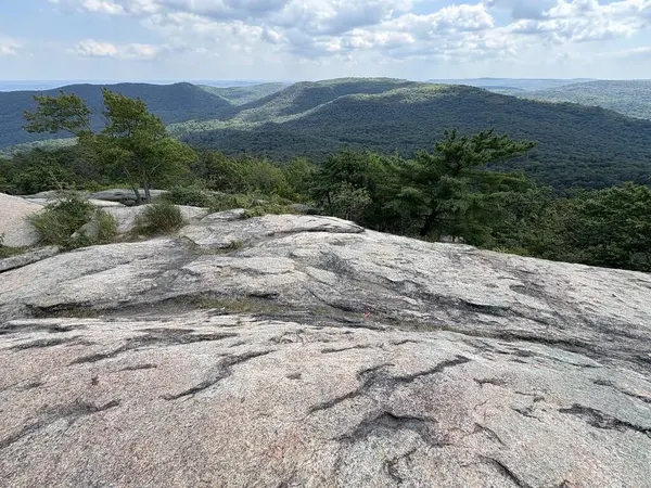 Kuzey Carolina eyaletinin dağının tepesindeki kaya oluşumları.