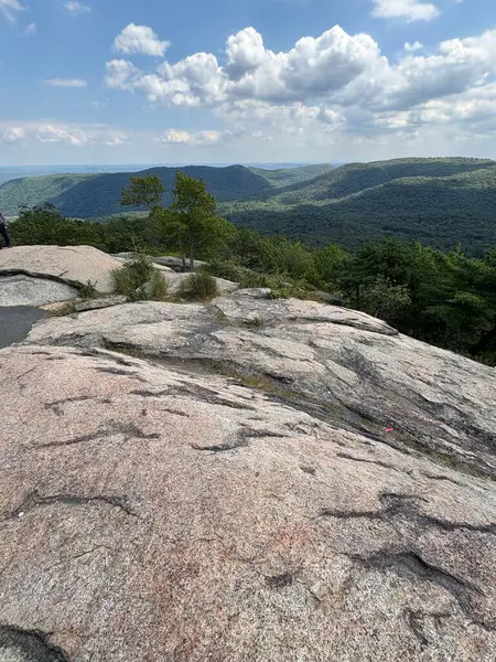 Ormandaki bir dağdaki kaya oluşumlarının dikey görüntüsü.