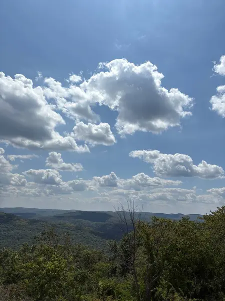Ağaçlar ve bulutlarla dolu güzel bir manzara.