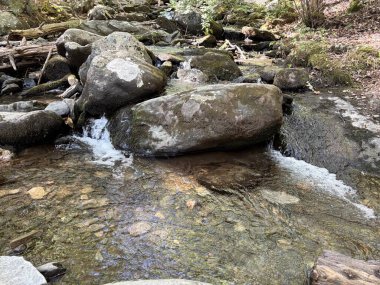 Pensilvanya 'da orman hayvanı düştü, Poconos dağlarına sıkışmış nefes kesici bir manzara. 