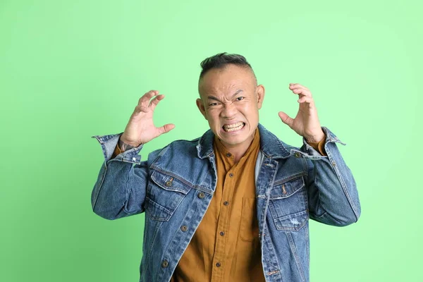Anos Adulto Asiático Homem Com Jeans Camisa Sobre Fundo Verde — Fotografia de Stock
