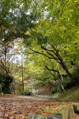 Nagoya yakınlarındaki bir köy olan Korankei Gorge, sonbahar mevsimi için en iyi ziyaret noktası, Nagoya Japonya 'da yer almaktadır.