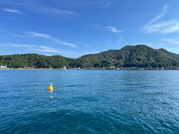 Ine Funaya manzarası, Kyoto, Japonya 'daki deniz kenarındaki evler..